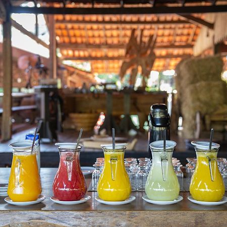 Hotel Fazenda Igarapes ภายนอก รูปภาพ