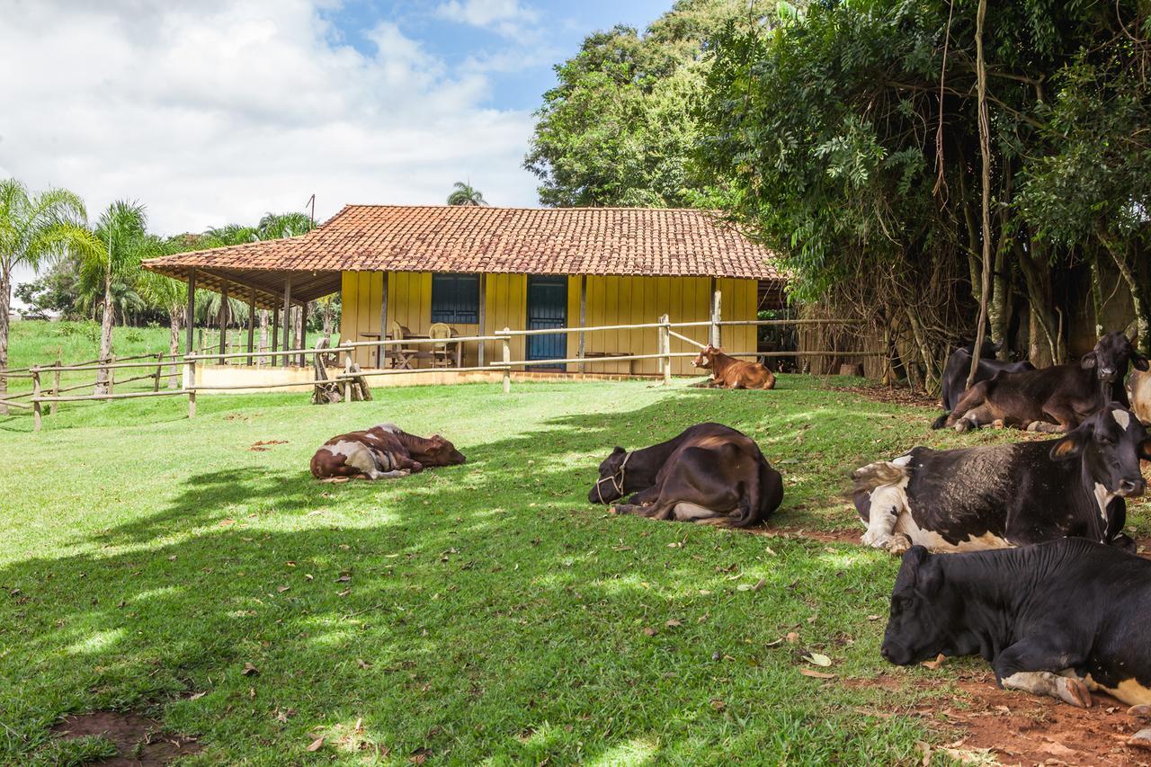 Hotel Fazenda Igarapes ภายนอก รูปภาพ