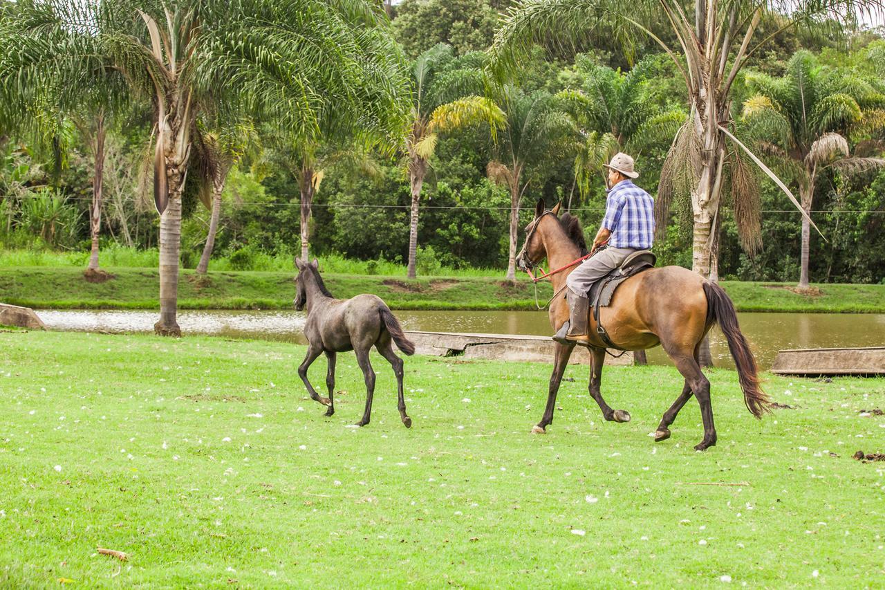 Hotel Fazenda Igarapes ภายนอก รูปภาพ