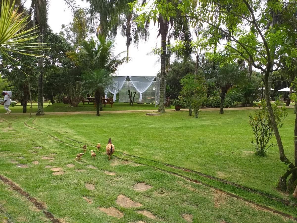 Hotel Fazenda Igarapes ภายนอก รูปภาพ